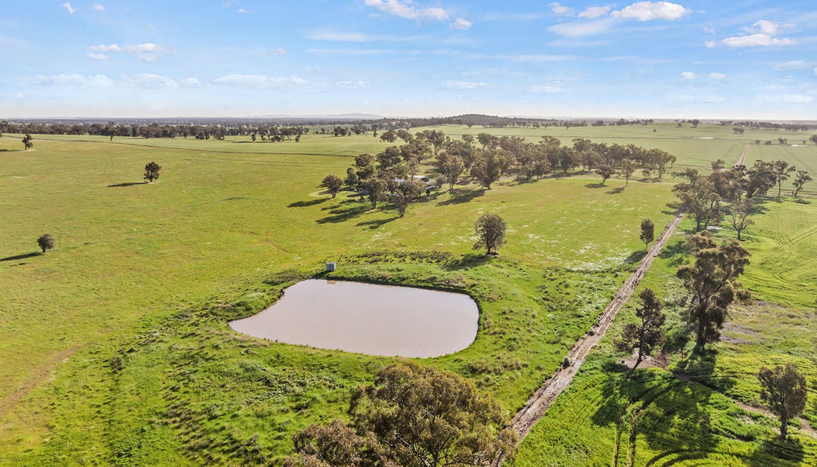 1510 Weedallion Road, Young, NSW, 2594 - Image 15
