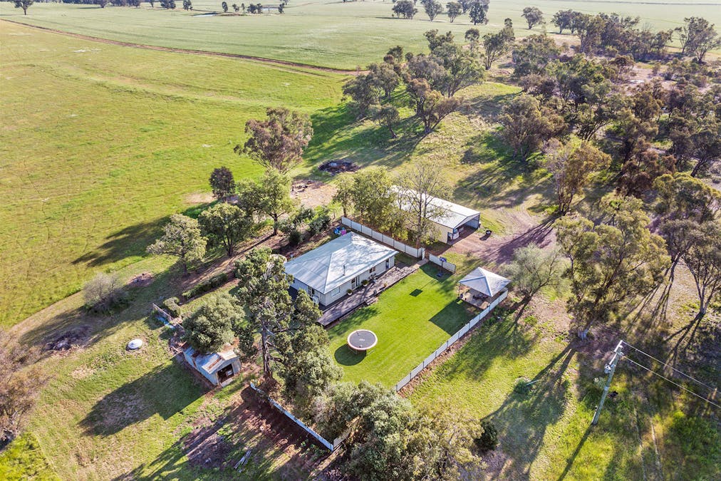 1510 Weedallion Road, Young, NSW, 2594 - Image 17