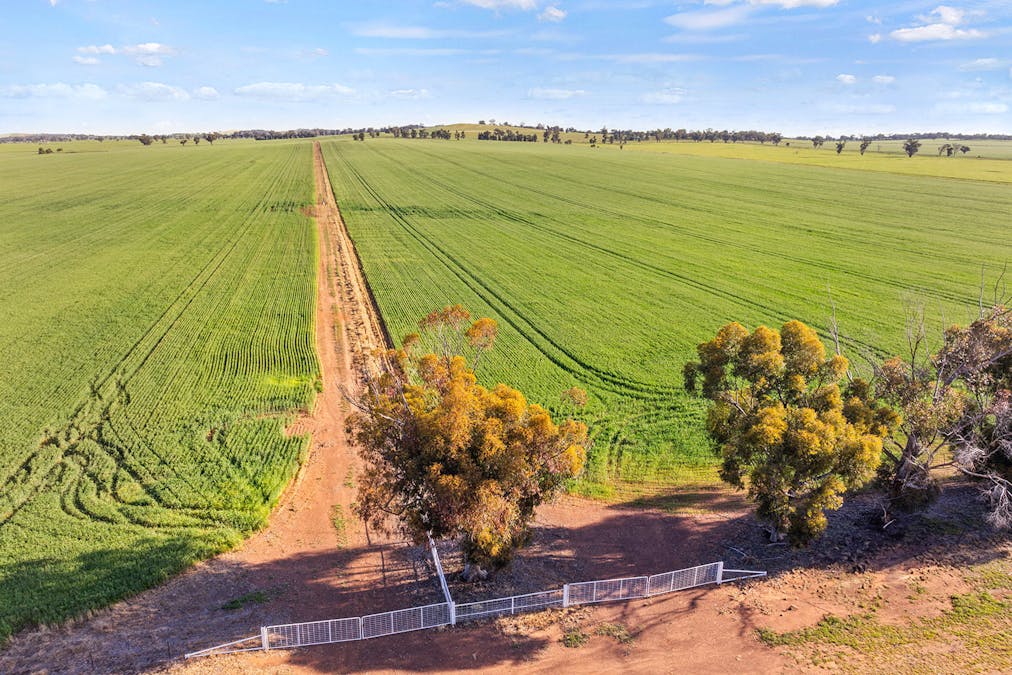 1510 Weedallion Road, Young, NSW, 2594 - Image 21