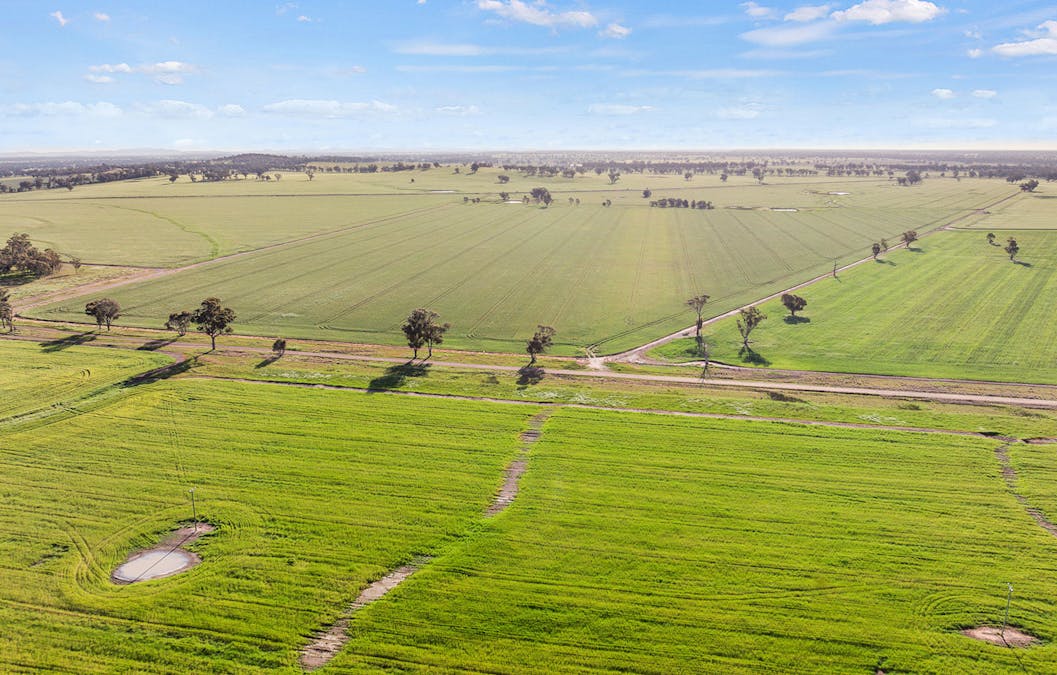 1510 Weedallion Road, Young, NSW, 2594 - Image 25