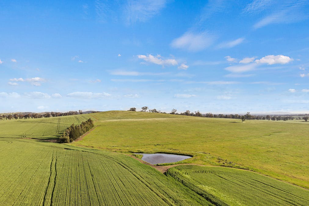 1510 Weedallion Road, Young, NSW, 2594 - Image 29