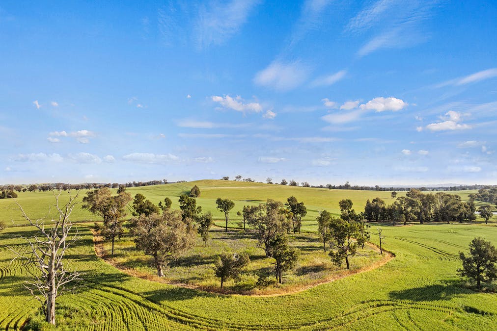1510 Weedallion Road, Young, NSW, 2594 - Image 30