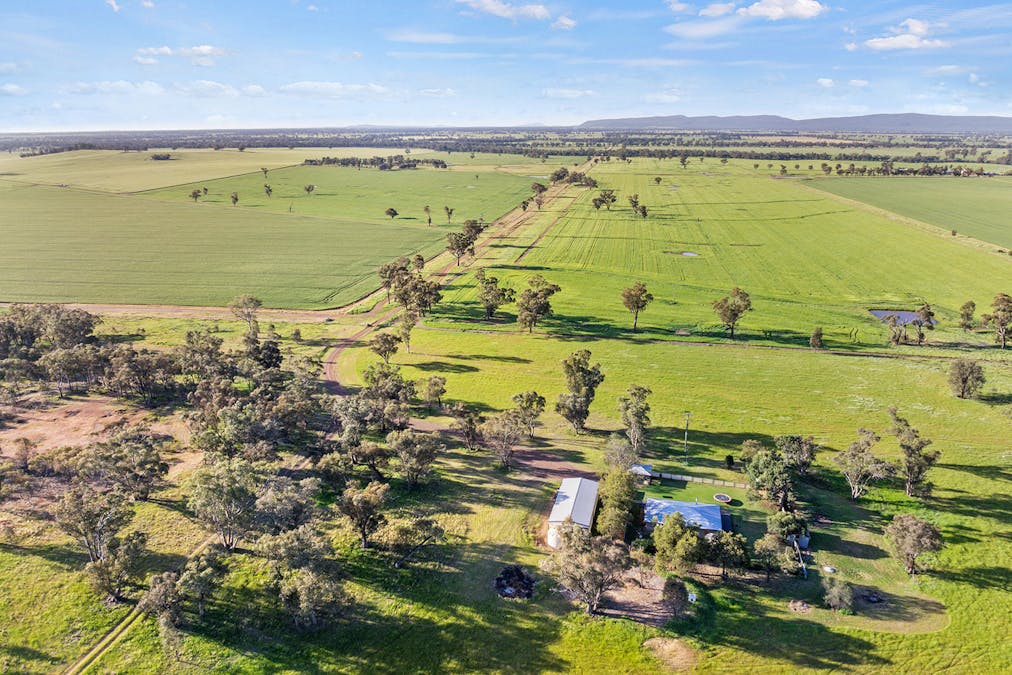1510 Weedallion Road, Young, NSW, 2594 - Image 18