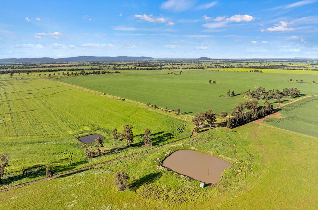 1510 Weedallion Road, Young, NSW, 2594 - Image 32