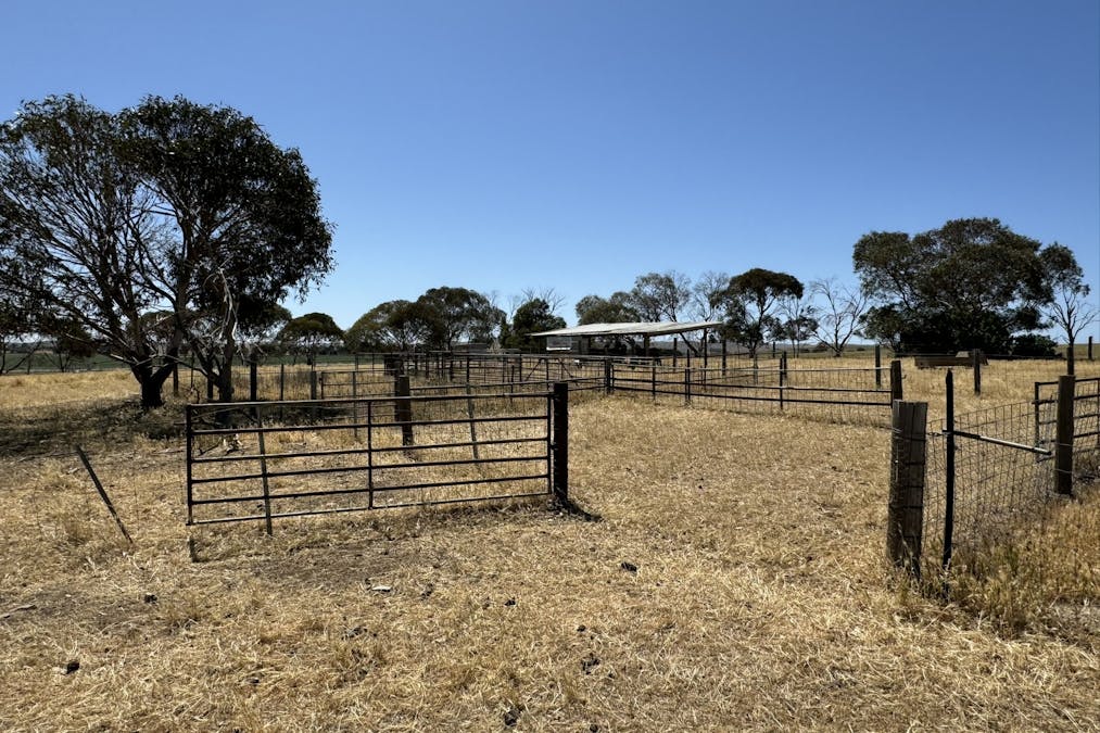 1 Tohls Road, Booborowie, SA, 5417 - Image 11