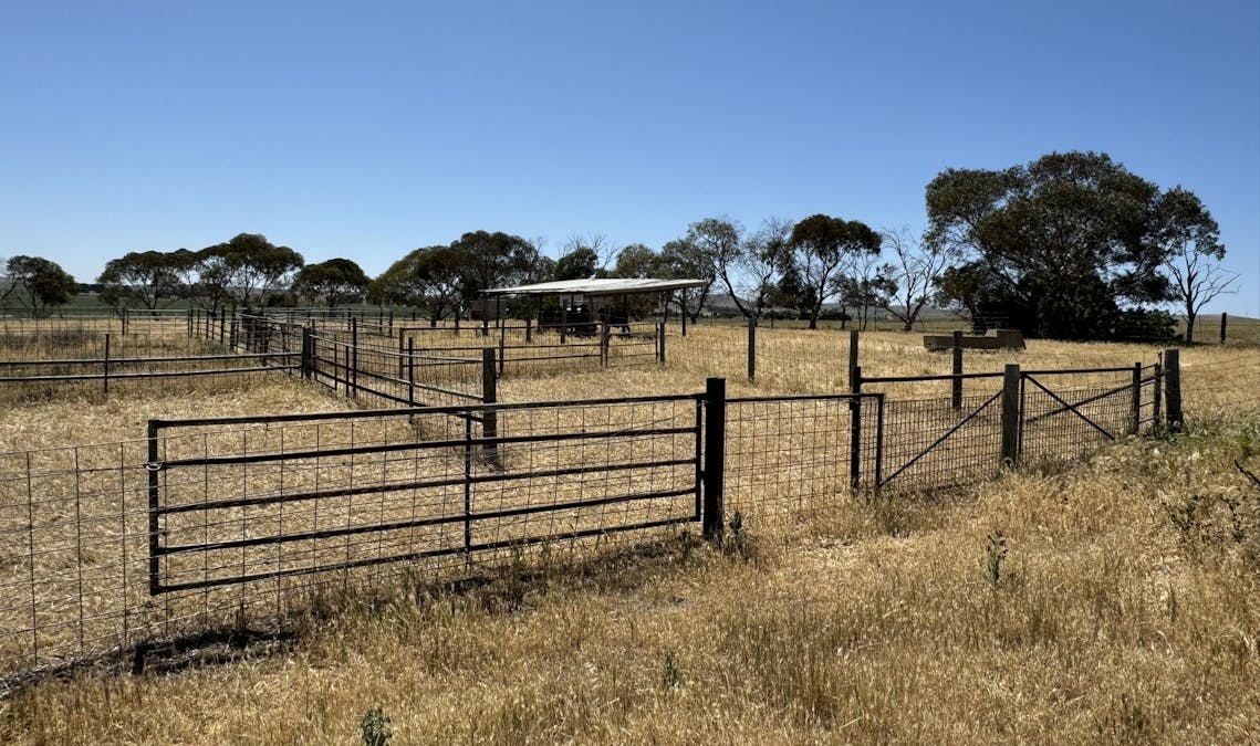 1 Tohls Road, Booborowie, SA, 5417 - Image 12