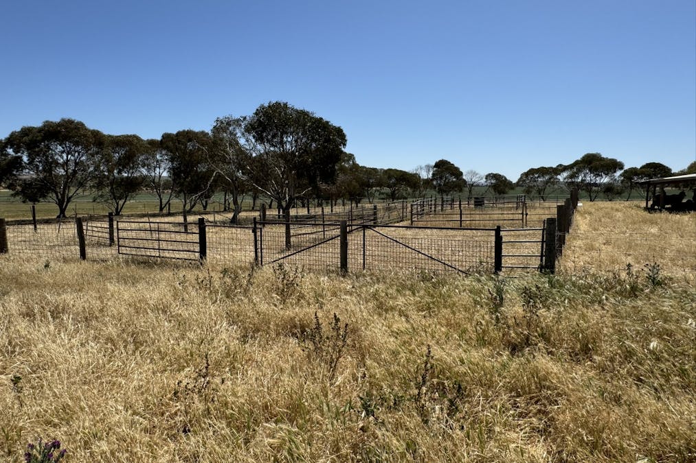1 Tohls Road, Booborowie, SA, 5417 - Image 13