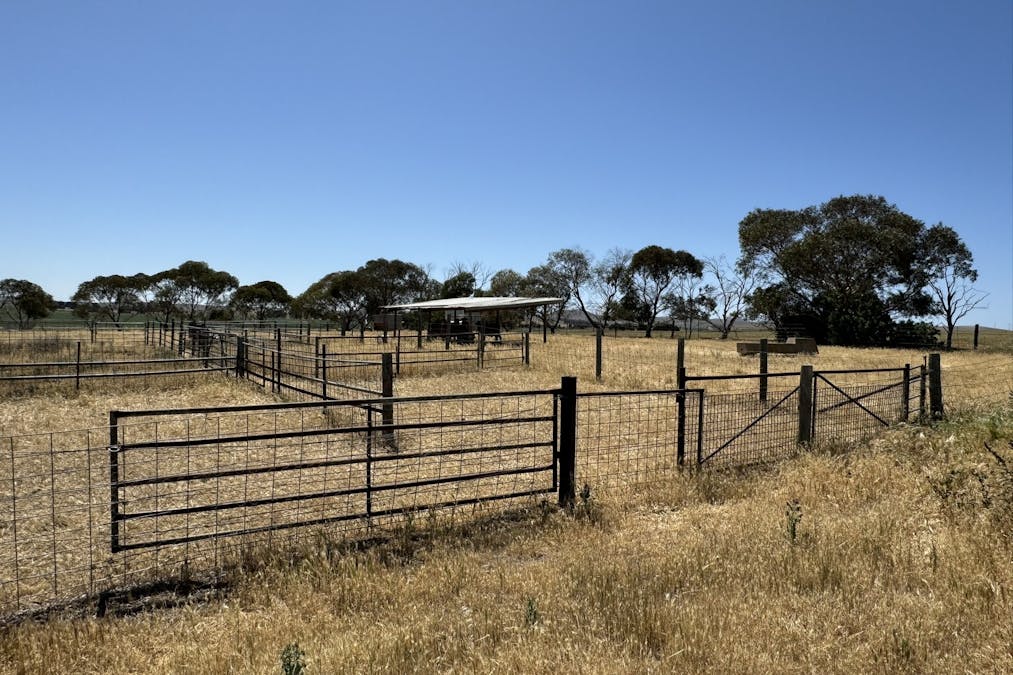 1 Tohls Road, Booborowie, SA, 5417 - Image 16