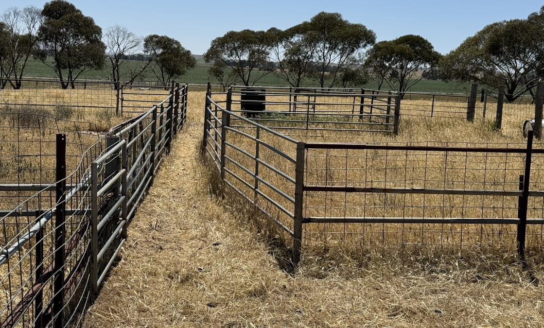 1 Tohls Road, Booborowie, SA, 5417 - Image 19