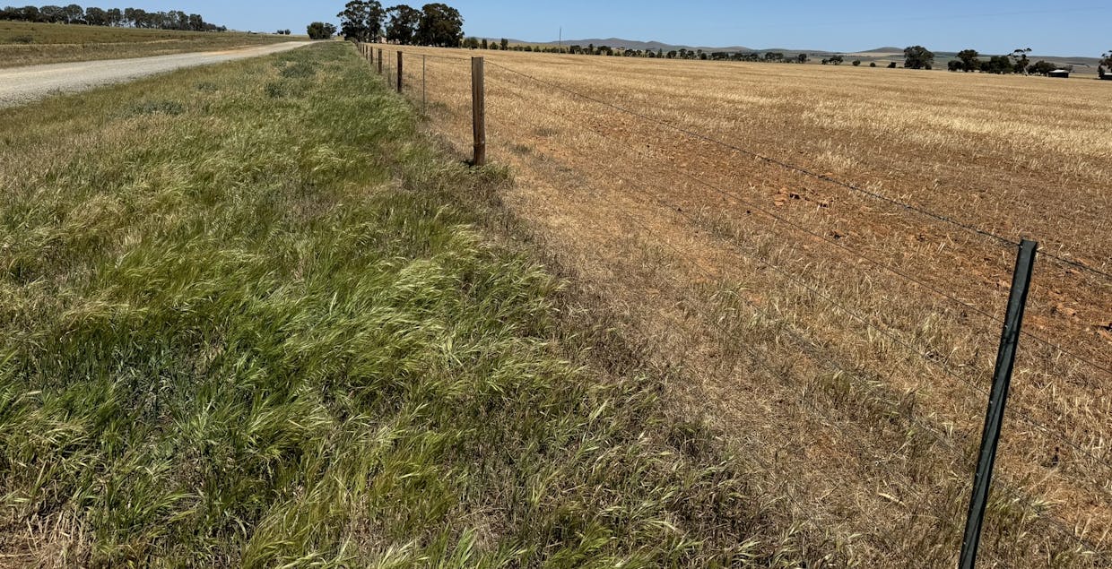 1 Tohls Road, Booborowie, SA, 5417 - Image 21