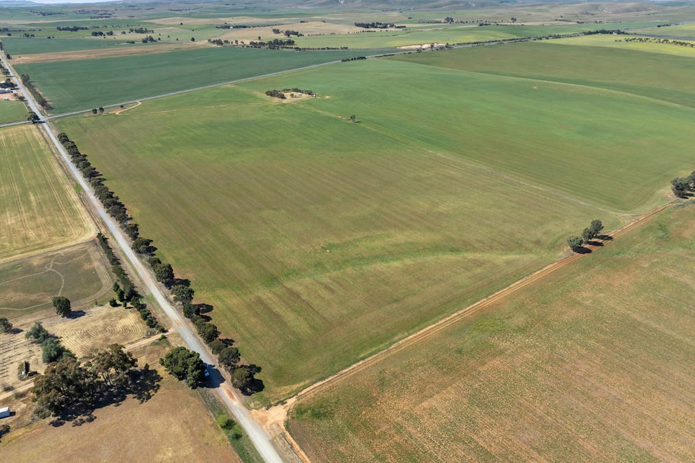 1 Tohls Road, Booborowie, SA, 5417 - Image 7