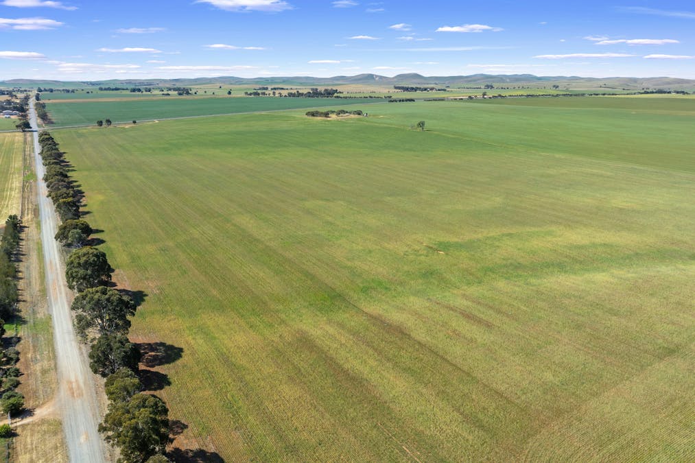 1 Tohls Road, Booborowie, SA, 5417 - Image 6
