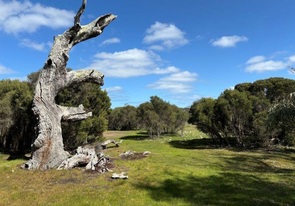 Sec 82 & 1 Windemere Road, Mount Drummond, SA, 5607 - Image 2