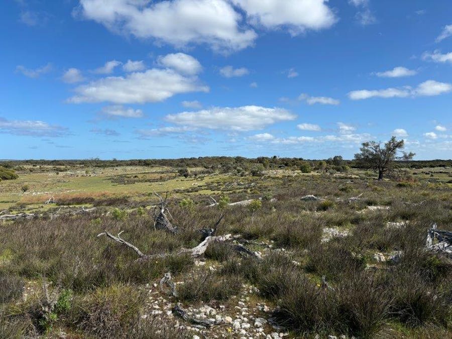 Sec 82 & 1 Windemere Road, Mount Drummond, SA, 5607 - Image 5