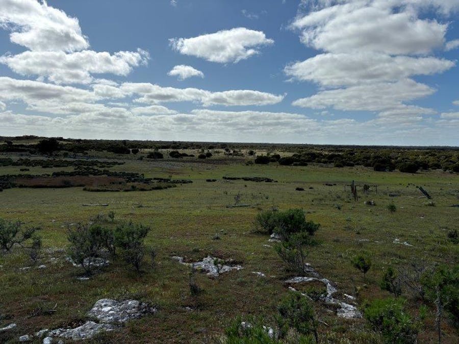 Sec 82 & 1 Windemere Road, Mount Drummond, SA, 5607 - Image 6