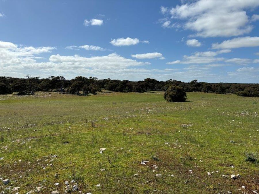 Sec 82 & 1 Windemere Road, Mount Drummond, SA, 5607 - Image 13