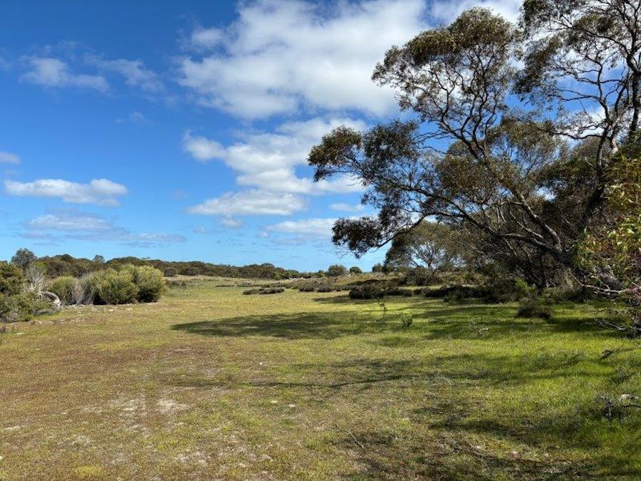 Sec 82 & 1 Windemere Road, Mount Drummond, SA, 5607 - Image 14