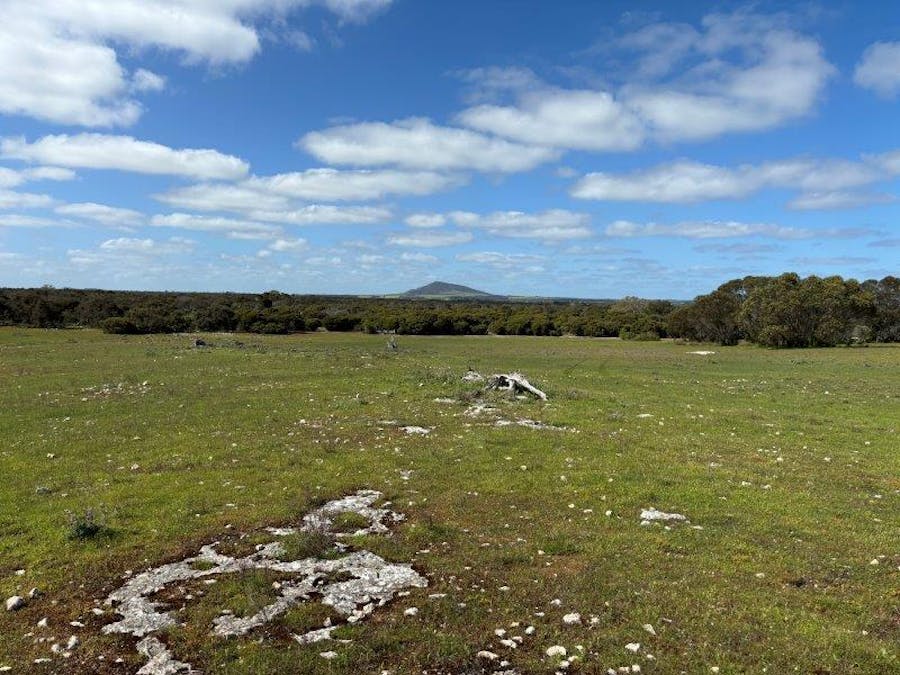 Sec 82 & 1 Windemere Road, Mount Drummond, SA, 5607 - Image 15