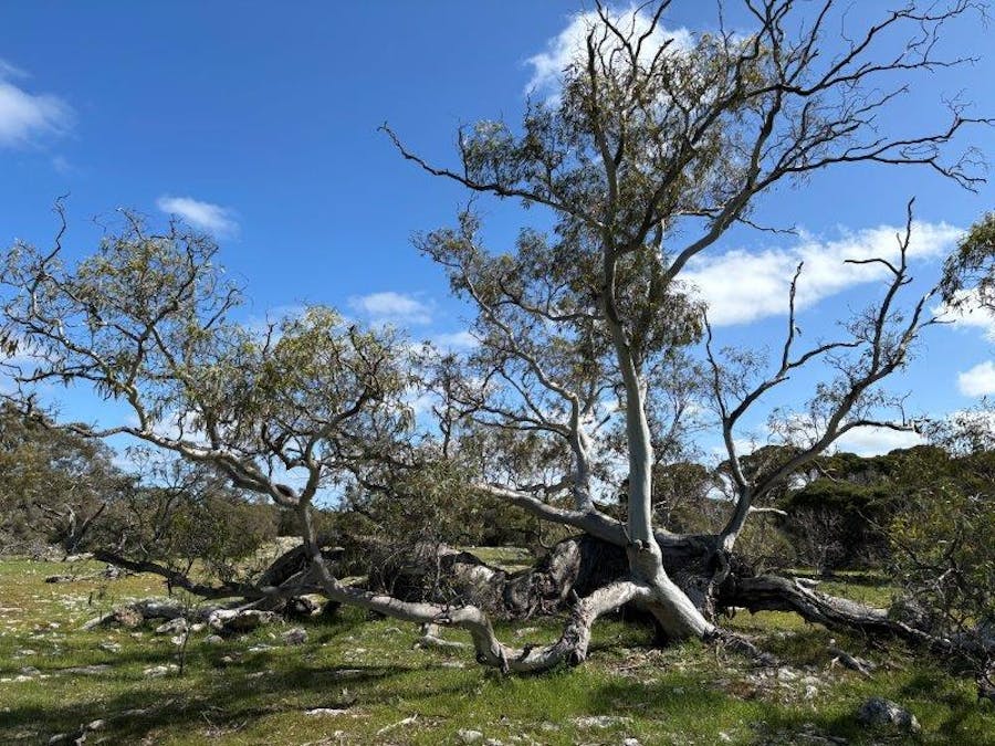 Sec 82 & 1 Windemere Road, Mount Drummond, SA, 5607 - Image 16