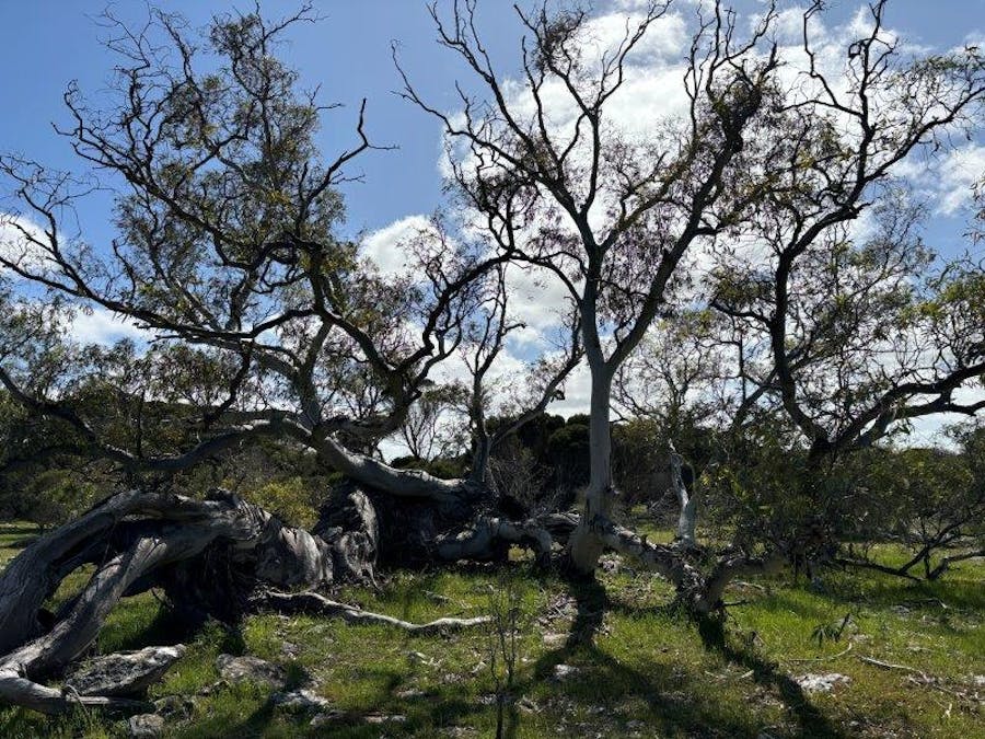 Sec 82 & 1 Windemere Road, Mount Drummond, SA, 5607 - Image 17