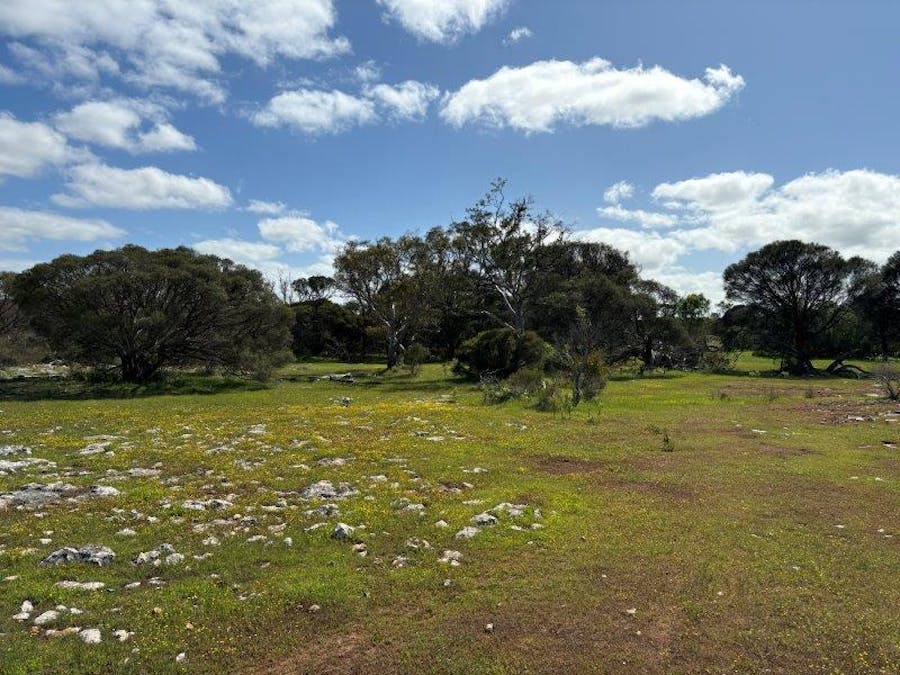 Sec 82 & 1 Windemere Road, Mount Drummond, SA, 5607 - Image 18
