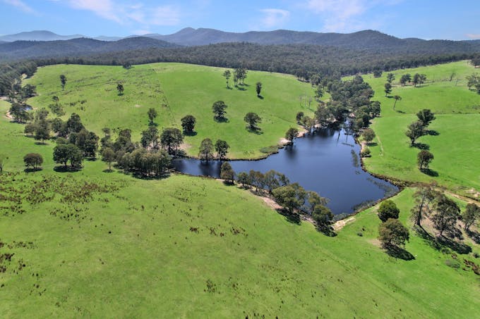 151 Wattle Hill Road, Buchan South, VIC, 3885 - Image 1