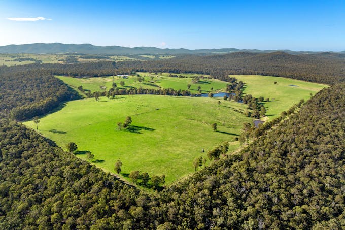 151 Wattle Hill Road, Buchan South, VIC, 3885 - Image 1