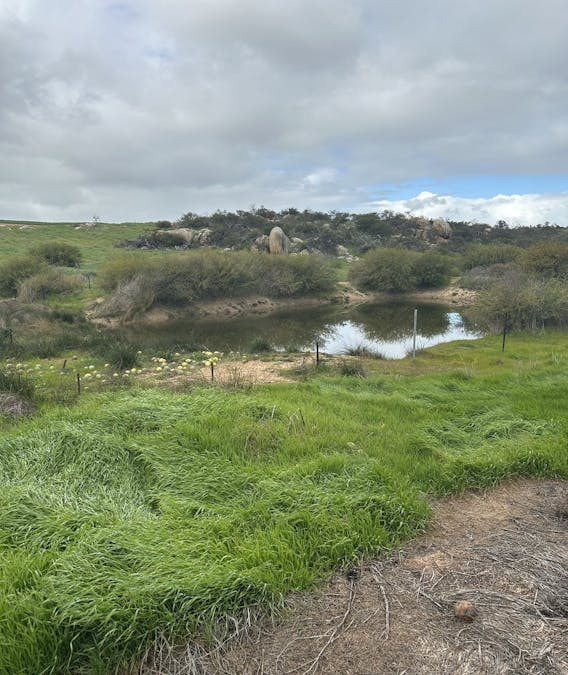 Lot 65 Forrester Road, Mount Erin, WA, 6532 - Image 3