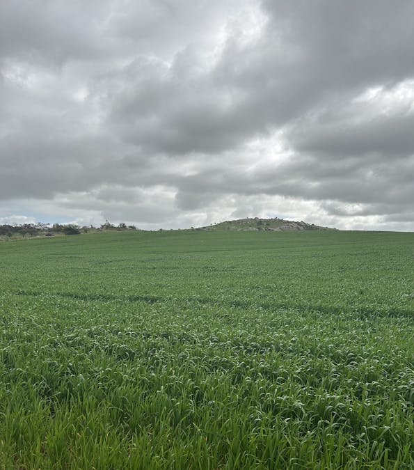 Lot 65 Forrester Road, Mount Erin, WA, 6532 - Image 1