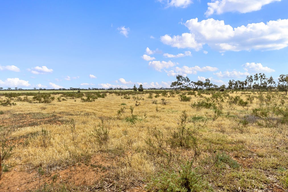 16 Racecourse Road, Balaklava, SA, 5461 - Image 24