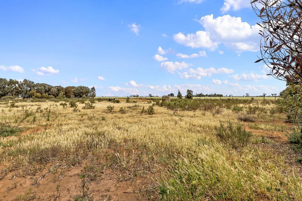 16 Racecourse Road, Balaklava, SA, 5461 - Image 25