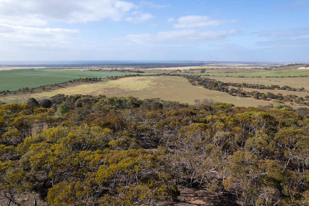 Lots 99 &  Bawdens Road, Lipson, SA, 5607 - Image 17