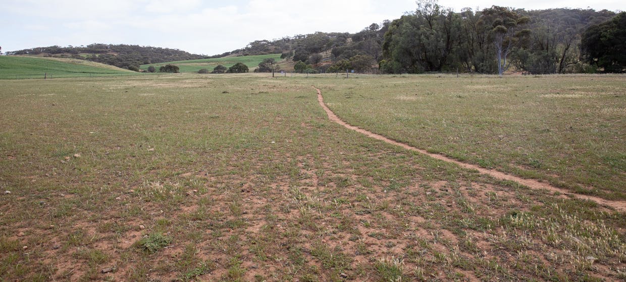 Lots 99 &  Bawdens Road, Lipson, SA, 5607 - Image 19