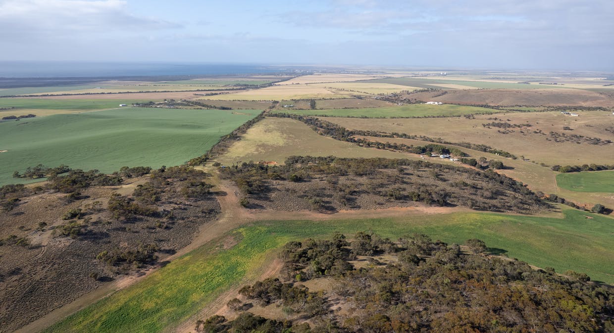 Lots 99 &  Bawdens Road, Lipson, SA, 5607 - Image 21