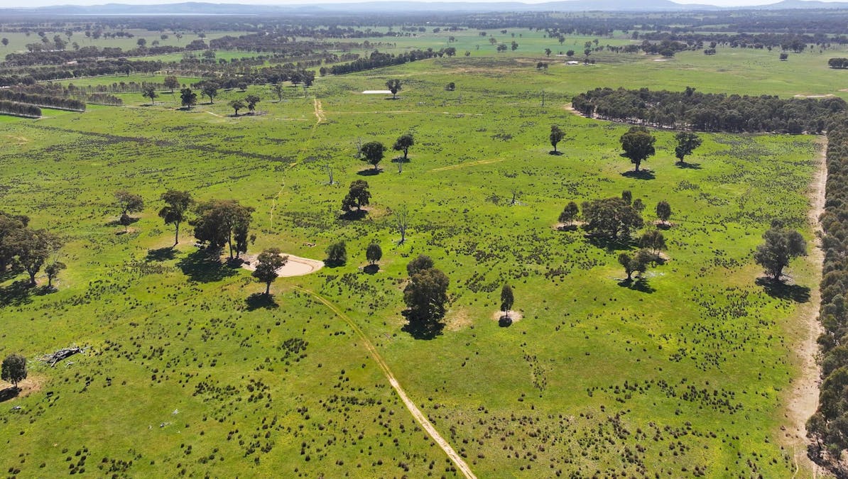 00 Hilbrick Road, Benalla, VIC, 3672 - Image 5
