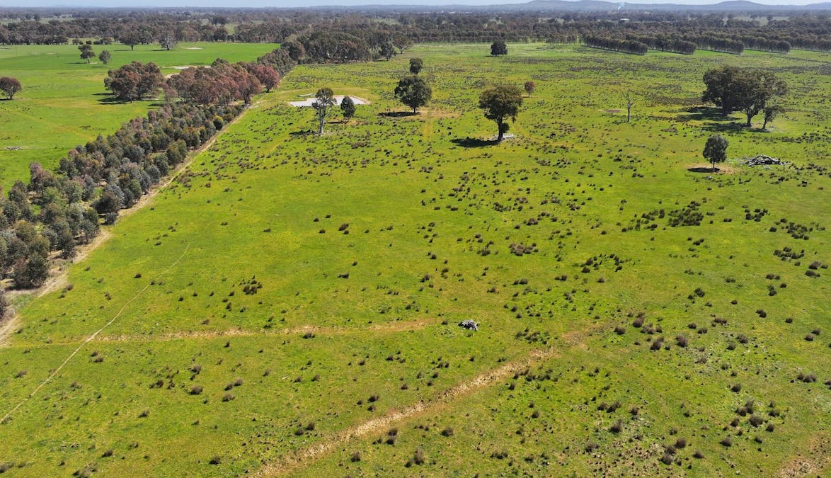 00 Hilbrick Road, Benalla, VIC, 3672 - Image 7