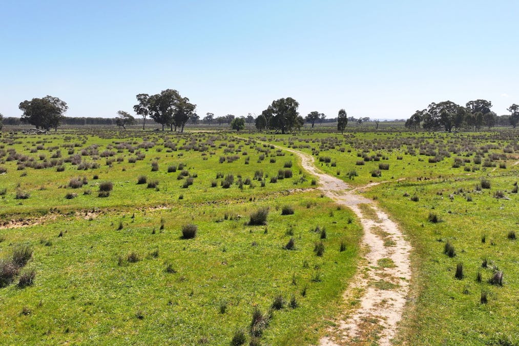 00 Hilbrick Road, Benalla, VIC, 3672 - Image 9