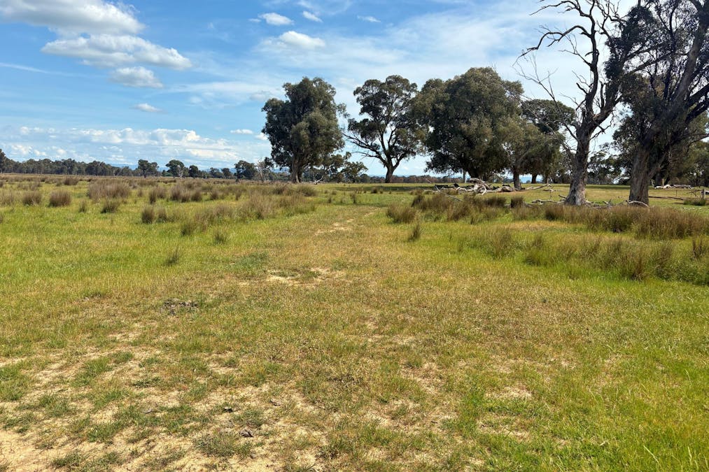 00 Hilbrick Road, Benalla, VIC, 3672 - Image 12