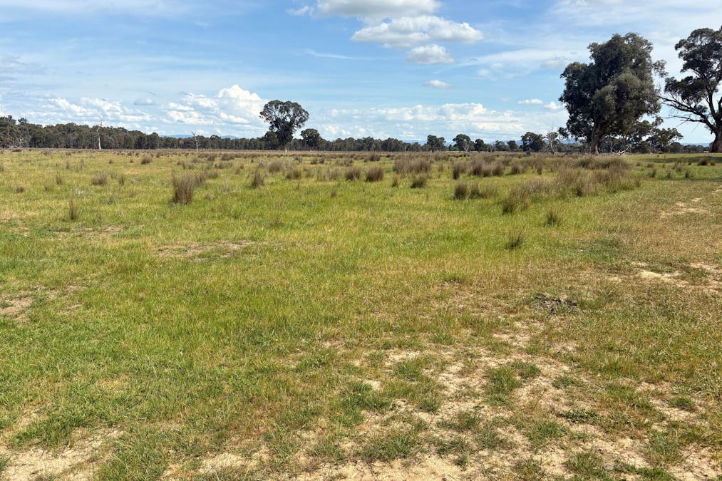 00 Hilbrick Road, Benalla, VIC, 3672 - Image 13