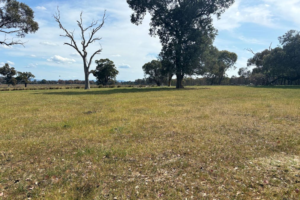 00 Hilbrick Road, Benalla, VIC, 3672 - Image 14