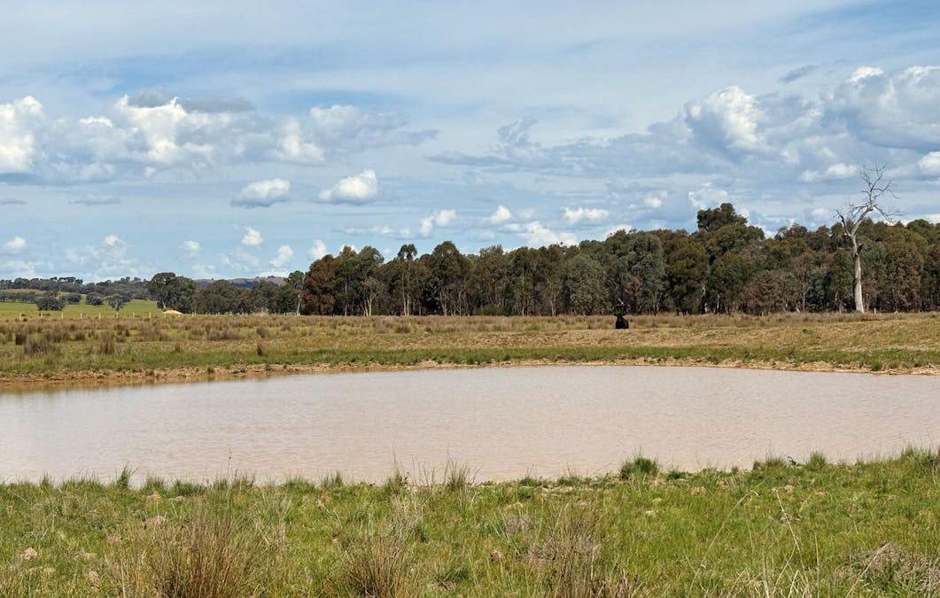 00 Hilbrick Road, Benalla, VIC, 3672 - Image 15