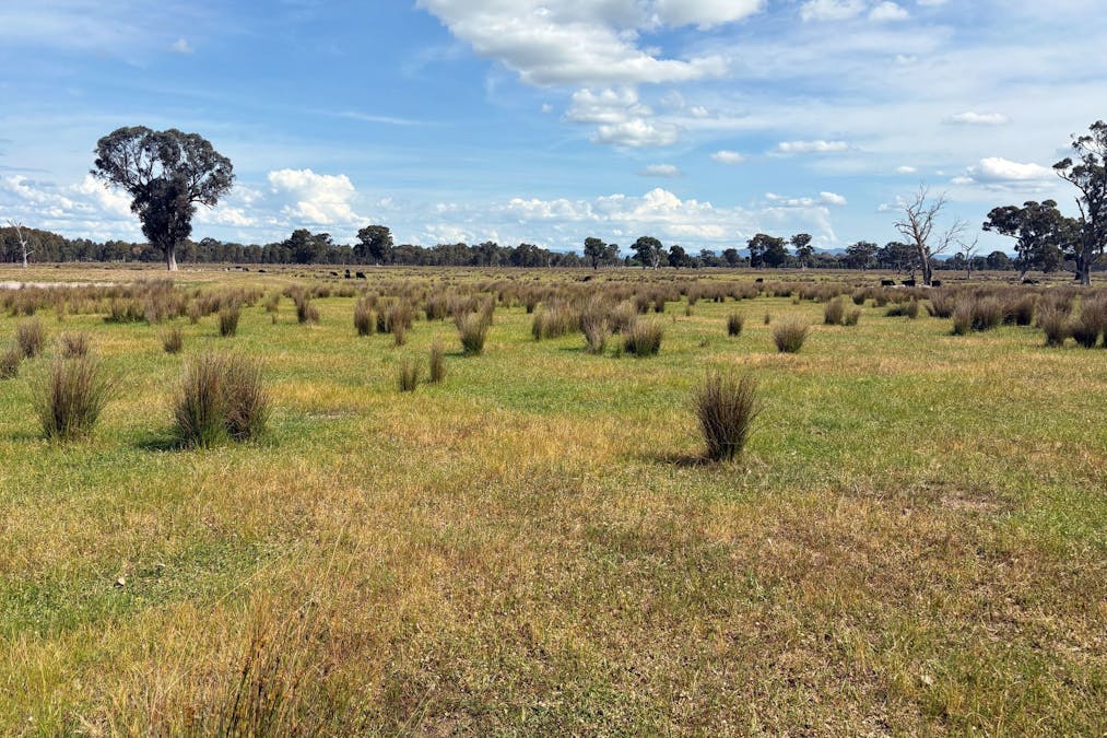 00 Hilbrick Road, Benalla, VIC, 3672 - Image 16