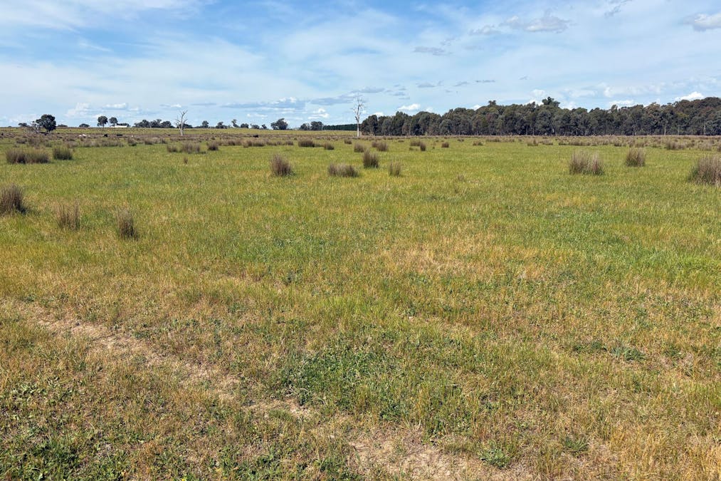 00 Hilbrick Road, Benalla, VIC, 3672 - Image 18