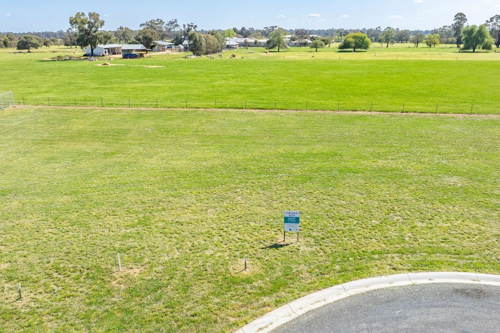 30 Jacob Wenke Drive, Walla Walla, NSW, 2659 - Image 3