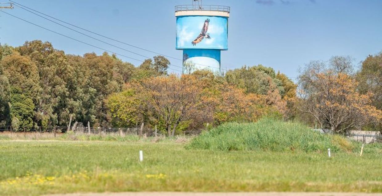29 Jacob Wenke Drive, Walla Walla, NSW, 2659 - Image 4