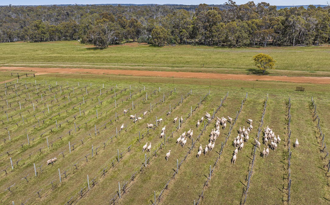 3009 Bindoon-Dewars Pool Road, Bindoon, WA, 6502 - Image 27
