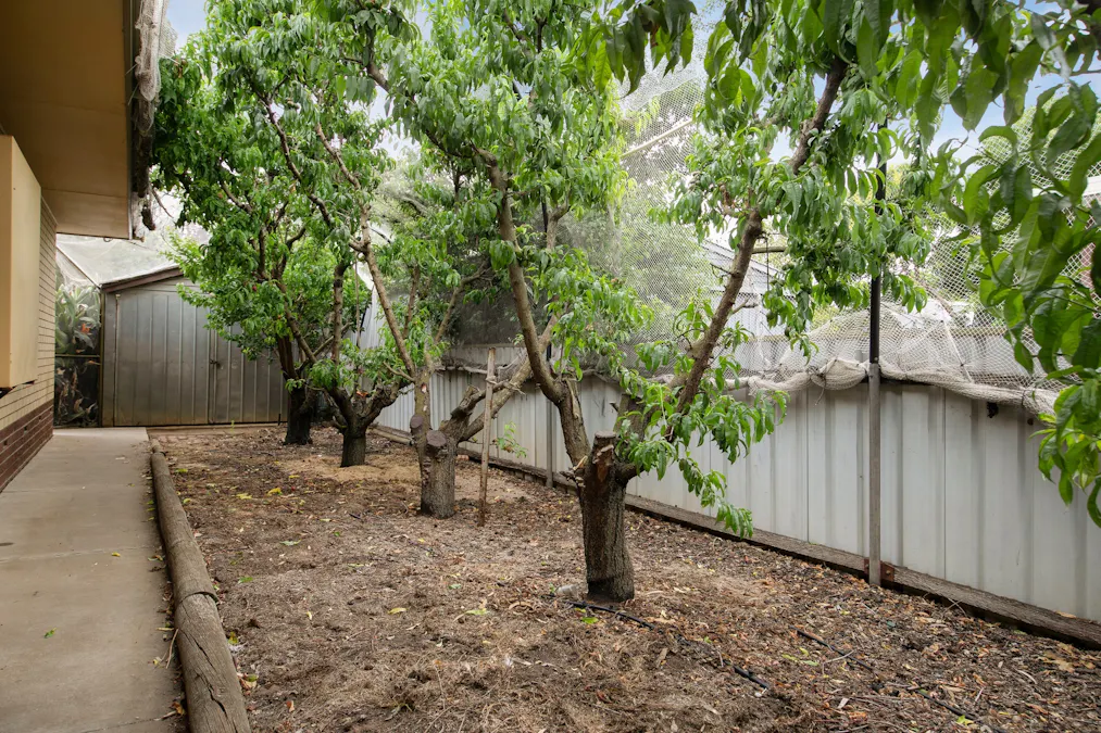 42 Penrice Road, Nuriootpa, SA, 5355 - Image 25