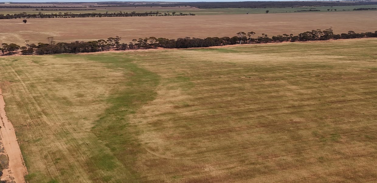 10520 Emu Fence Road, Hyden, WA, 6359 - Image 6