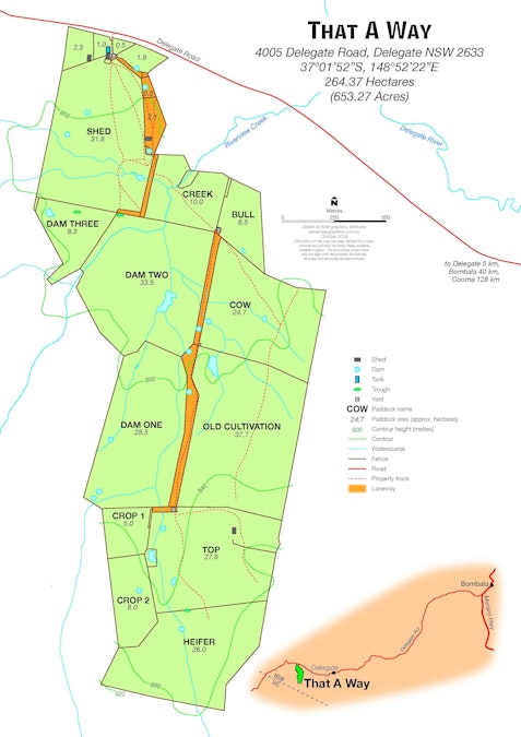 4005 Delegate Road, Delegate, NSW, 2633 - Floorplan 1