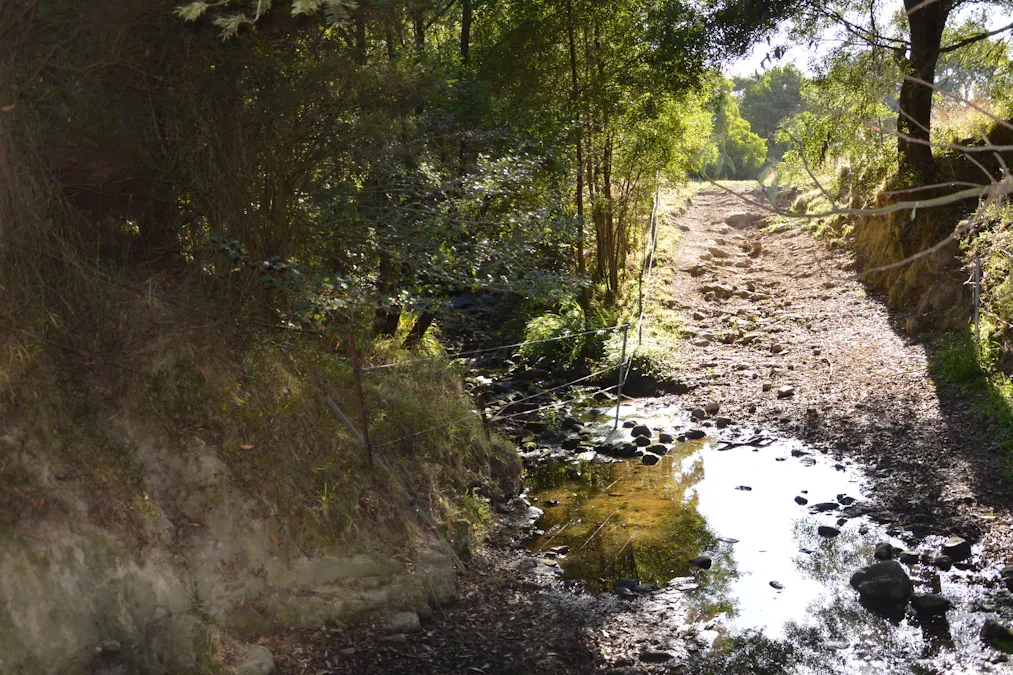 86 Shields Road, Fish Creek, VIC, 3959 - Image 8